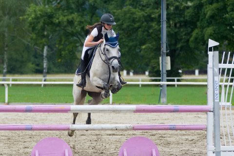 Pony