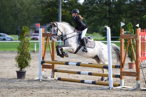 Pony — foto 2