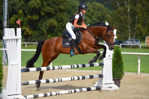 Pony — foto 3