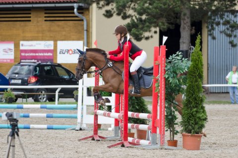 Pony — foto 4