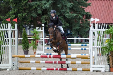 Pony — foto 5