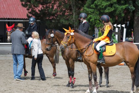 Pony — foto 6