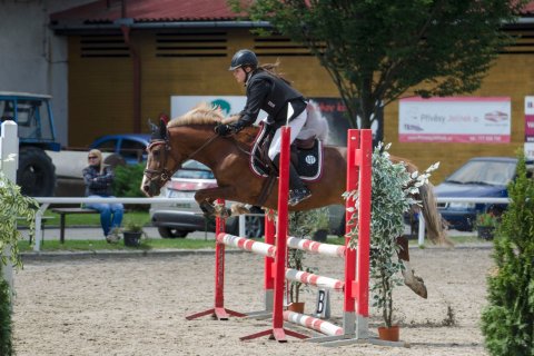 Pony — foto 7