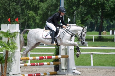 Pony — foto 8