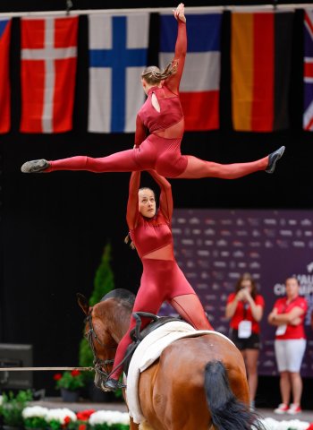 Voltiž — foto 4